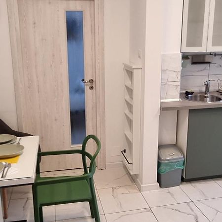 Elisabeta Studio Apartment Bükreş Dış mekan fotoğraf